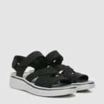 Bzees_traveler_black_01