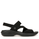 BZ-CLEO black BZ-CLEO black